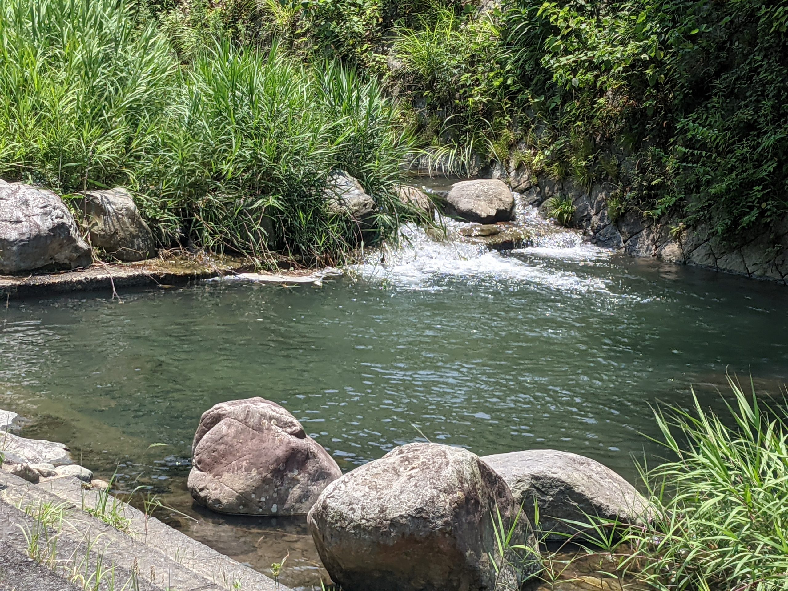 皿倉山大蔵川